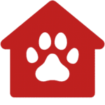 senior dog feeding guide